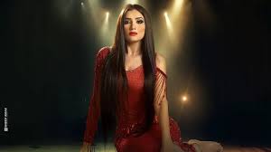 مسلسل اش اش 